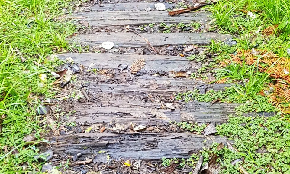Wharekirauponga Track, Waikato