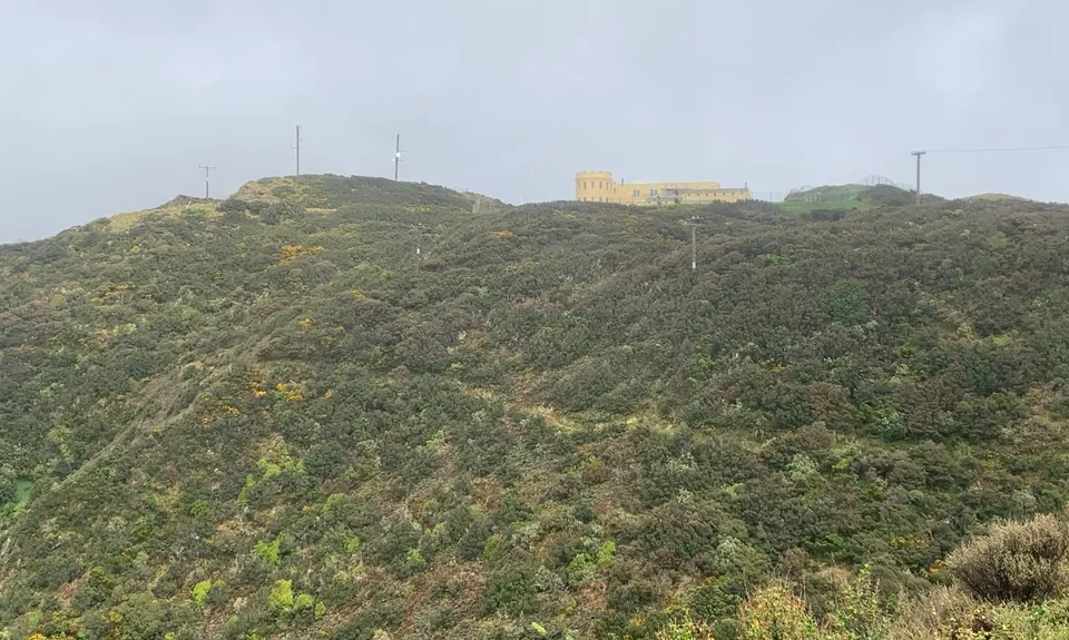 Aro Valley / Tip Track loop, Wellington