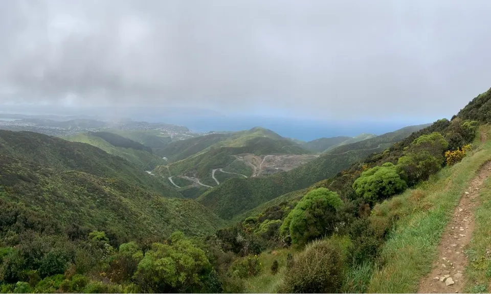 Aro Valley / Tip Track loop, Wellington