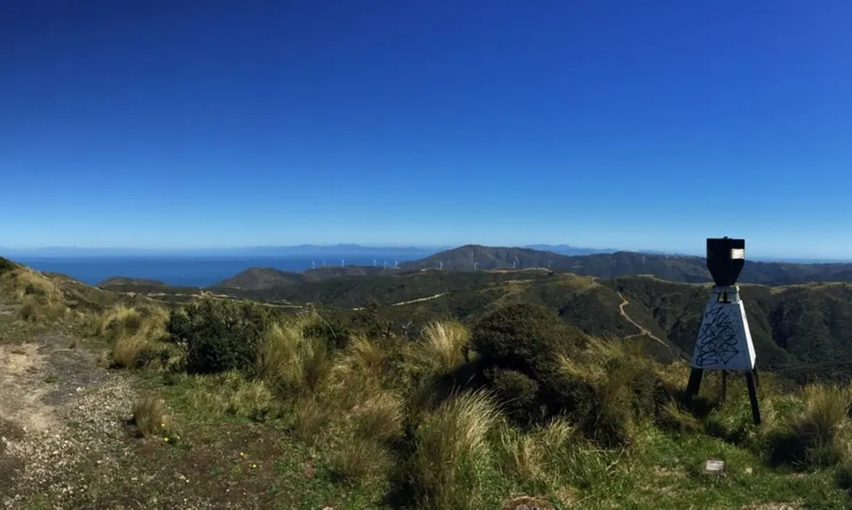 Aro Valley / Tip Track loop, Wellington