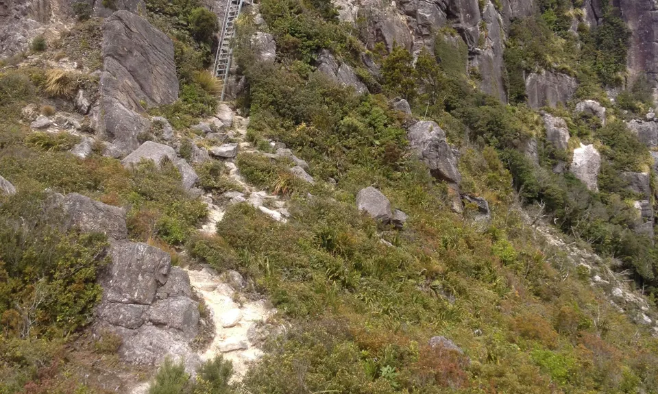 Pinnacles & Billy Goat, Waikato