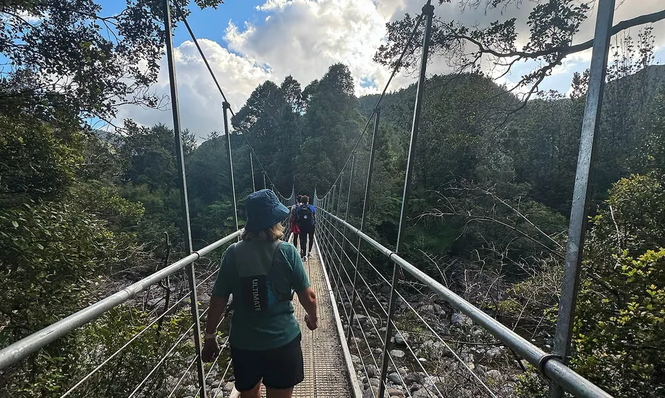 Pinnacles & Billy Goat, Waikato