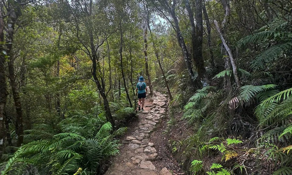 Pinnacles & Billy Goat, Waikato