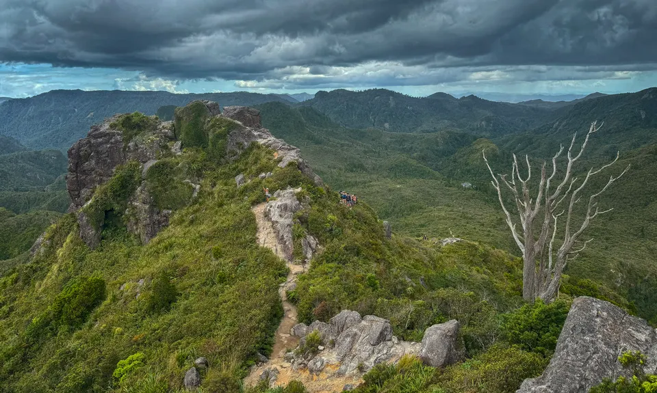 Pinnacles & Billy Goat, Waikato