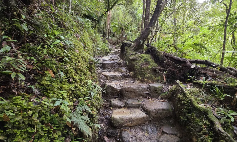 Pinnacles & Billy Goat, Waikato