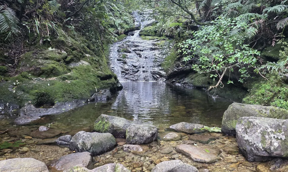 Pinnacles & Billy Goat, Waikato
