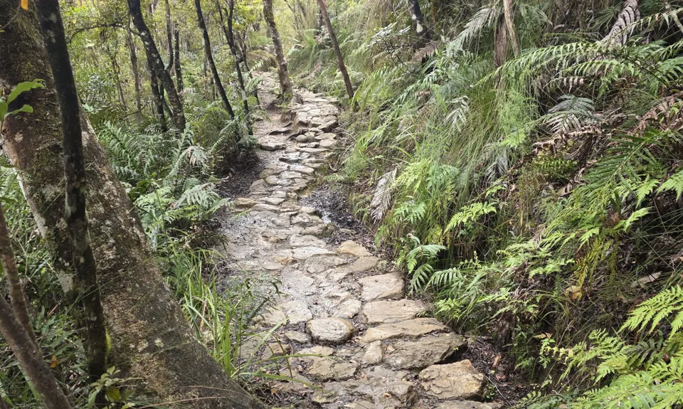 Pinnacles & Billy Goat, Waikato