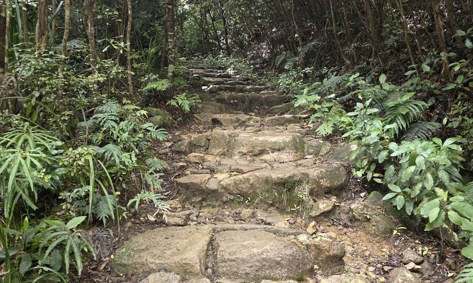 Pinnacles & Billy Goat, Waikato