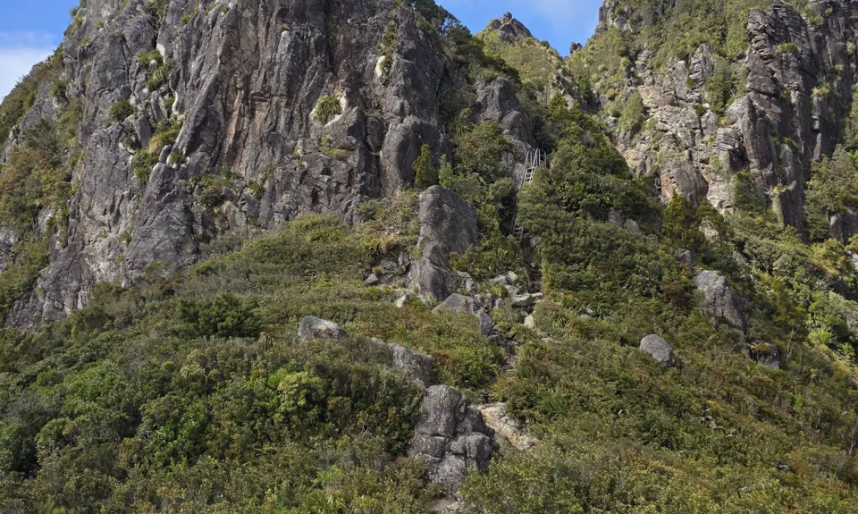 Pinnacles & Billy Goat, Waikato