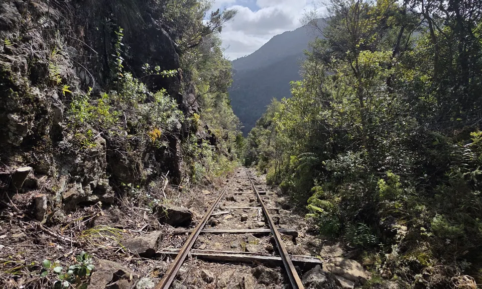Pinnacles & Billy Goat, Waikato