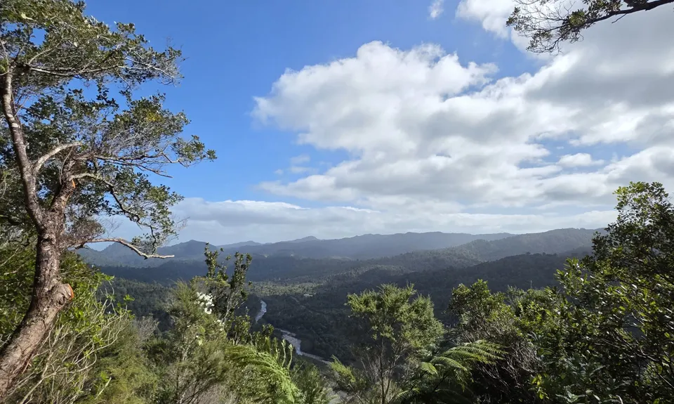 Pinnacles & Billy Goat, Waikato