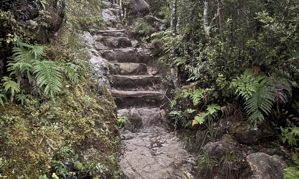 Pinnacles/Coroglen/Tapu/Crosbies hut, Waikato