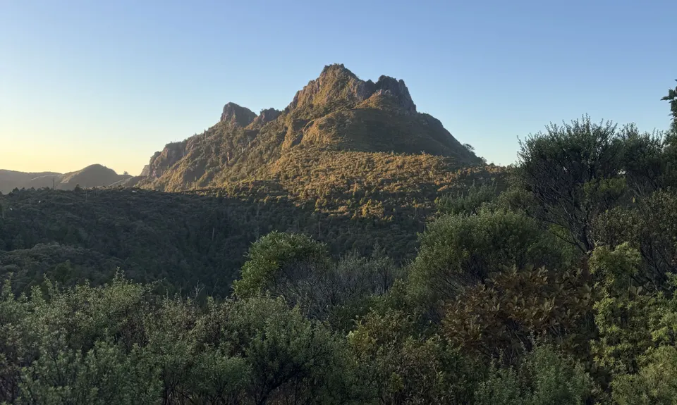 Pinnacles/Coroglen/Tapu/Crosbies hut, Waikato
