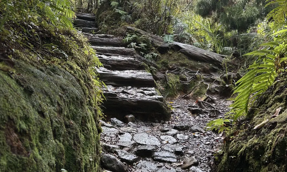 Pinnacles Summit, Waikato