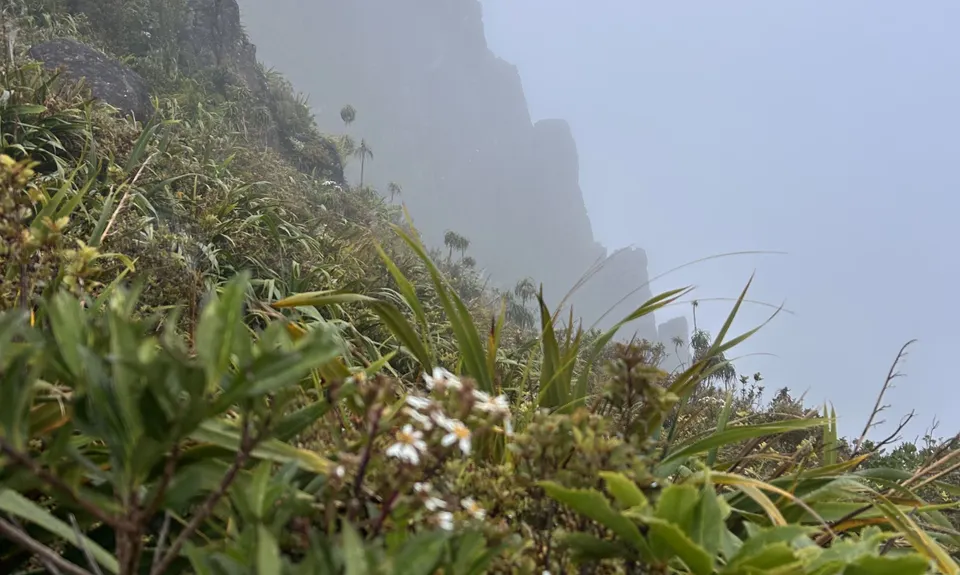 Pinnacles Summit, Waikato