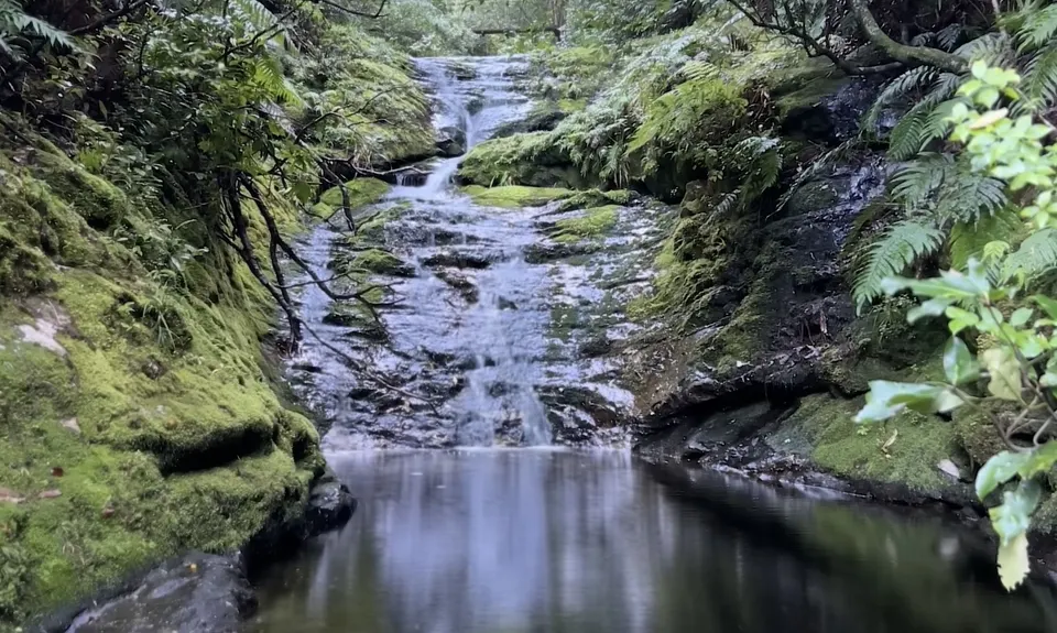 Pinnacles Summit, Waikato