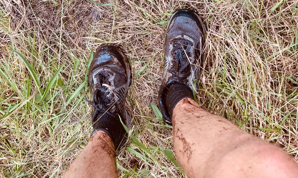 Piraunui Track, Waikato