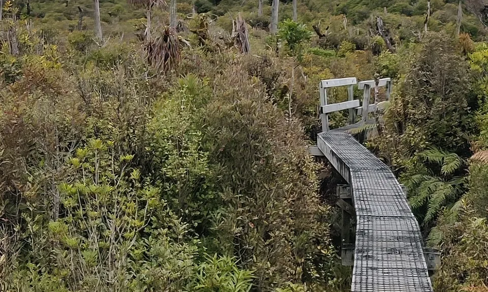 Pirongia Summit via Hihikiwi , Waikato