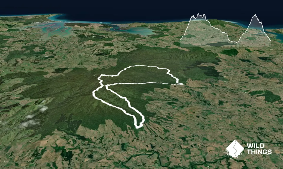 Pirongia Trail Run - Munter, Waikato