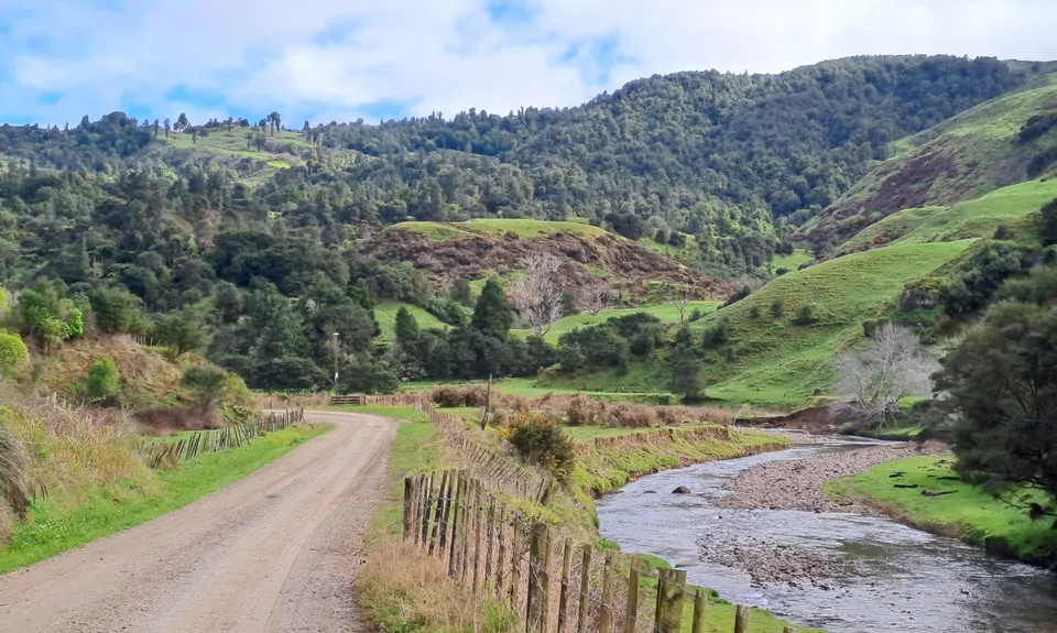Pirongia West Loop, Waikato