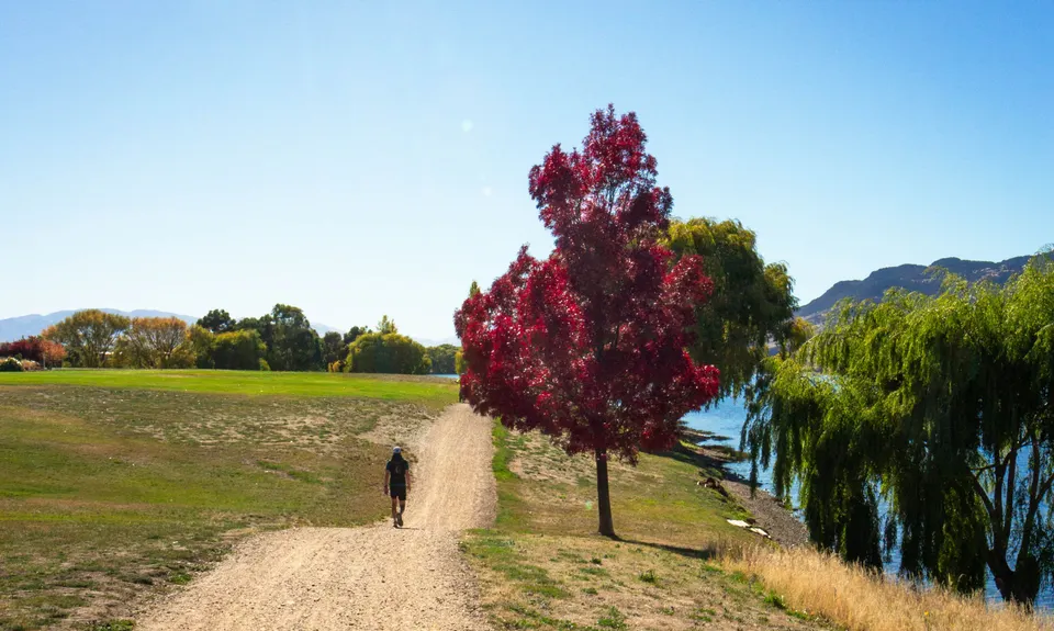 Pisa Moorings Meander, Otago