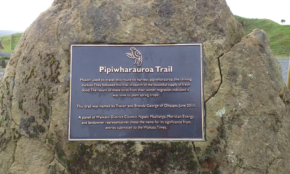 Pipiwharauroa Trail, Waikato