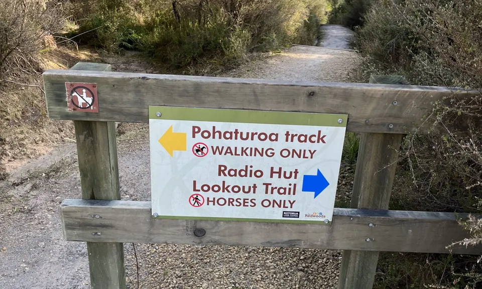 Pohaturoa Track, Bay of Plenty
