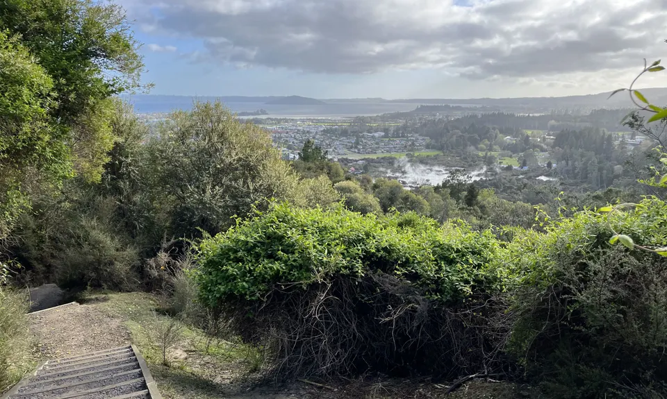 Pohaturoa Track, Bay of Plenty