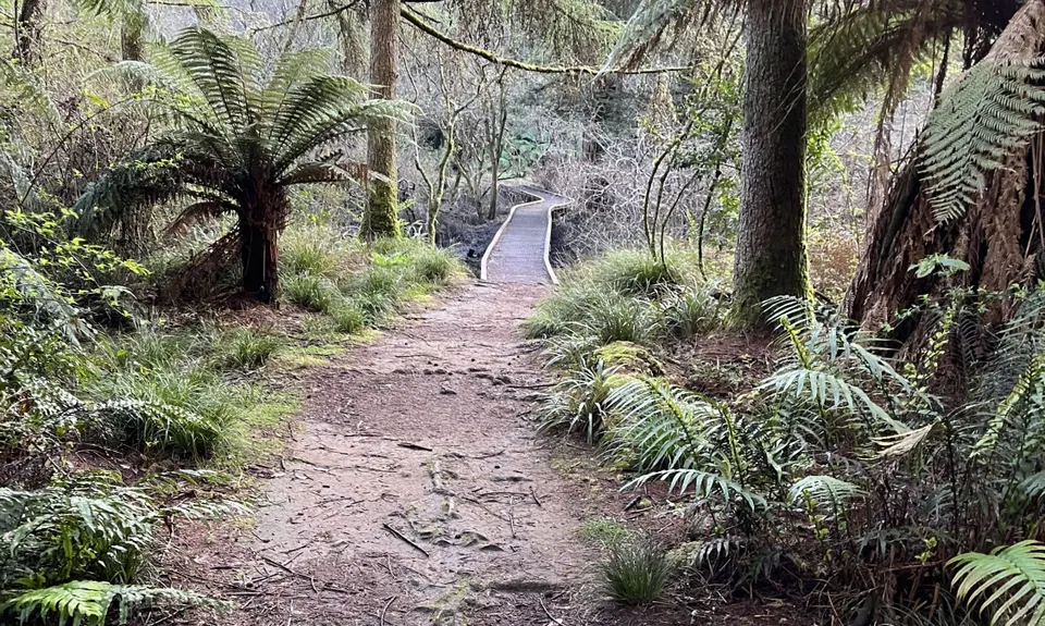 Pohaturoa Track, Bay of Plenty