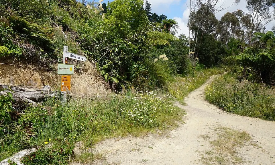 Pohaturoa Track, Bay of Plenty