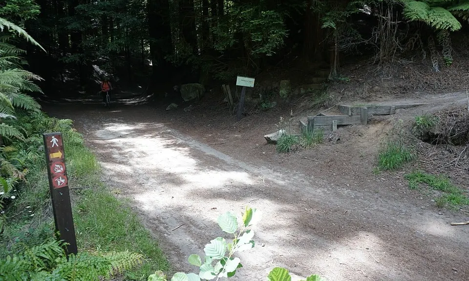 Pohaturoa Track, Bay of Plenty