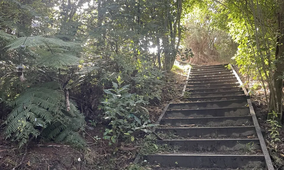 Point of View Staircase, Auckland