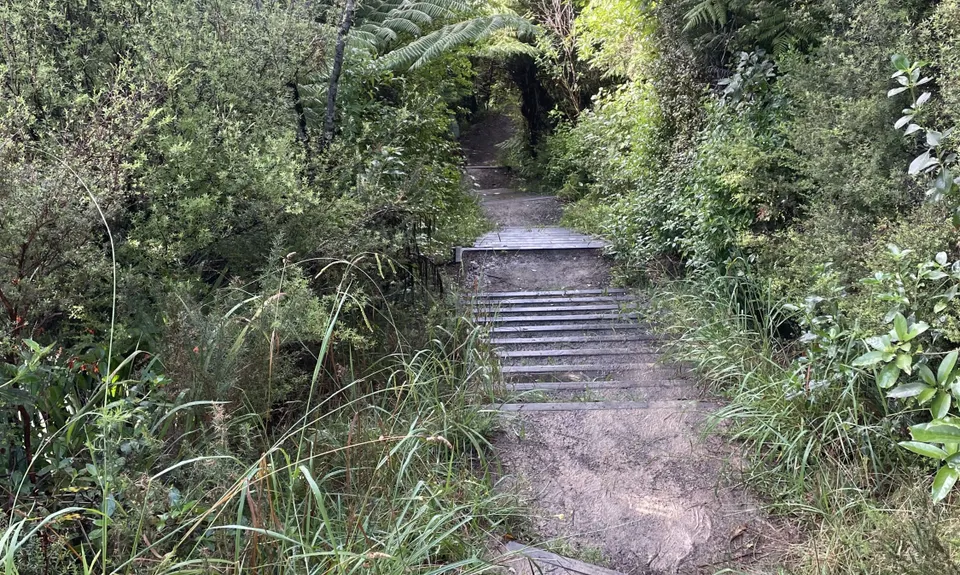 Point of View Staircase, Auckland
