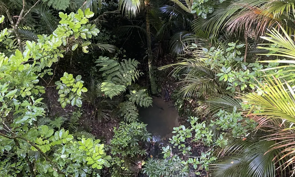 Point of View Staircase, Auckland