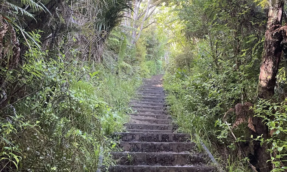 Point of View Staircase, Auckland
