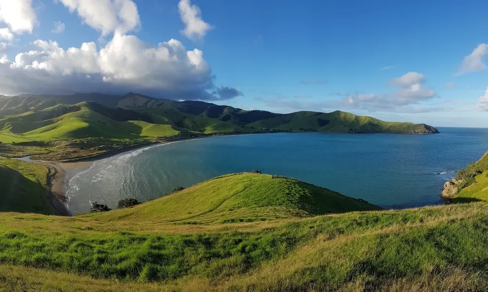 Port Jackson - Wharekaiatua Pa, Waikato