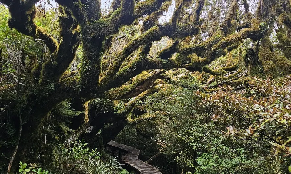 Pouakai Circuit, Taranaki