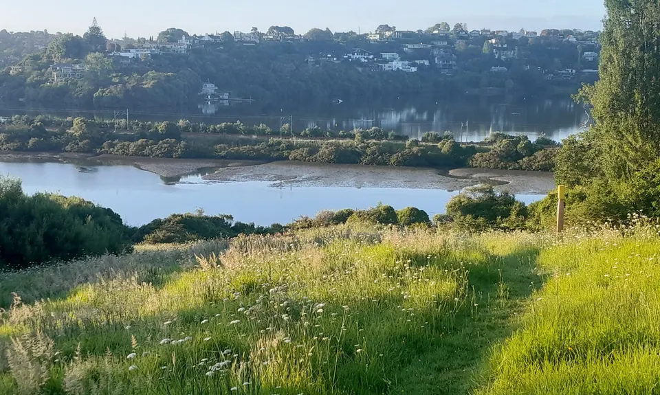 Pōurewa, Auckland