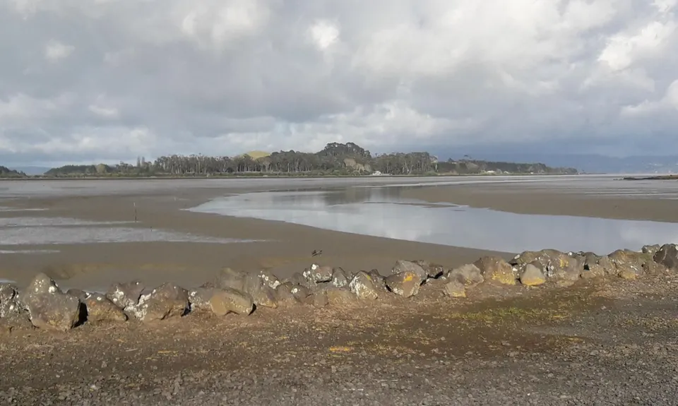 #ProtectIhumātao, Auckland