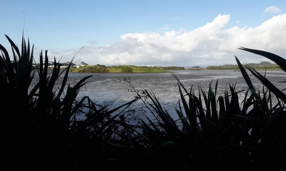#ProtectIhumātao, Auckland