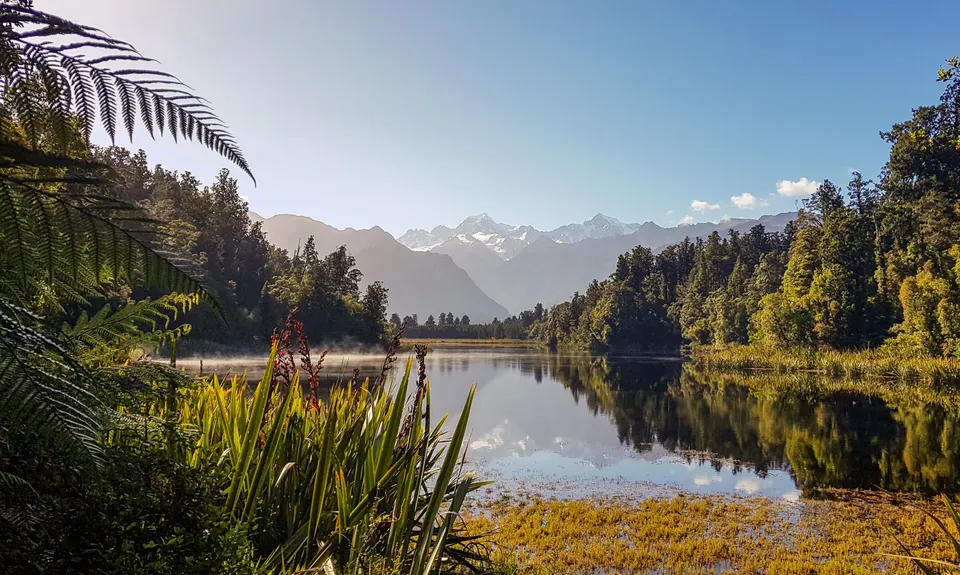 Lake Matheson Meander, West Coast