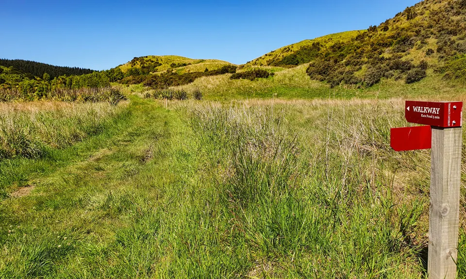 Tiromoana Track, Canterbury
