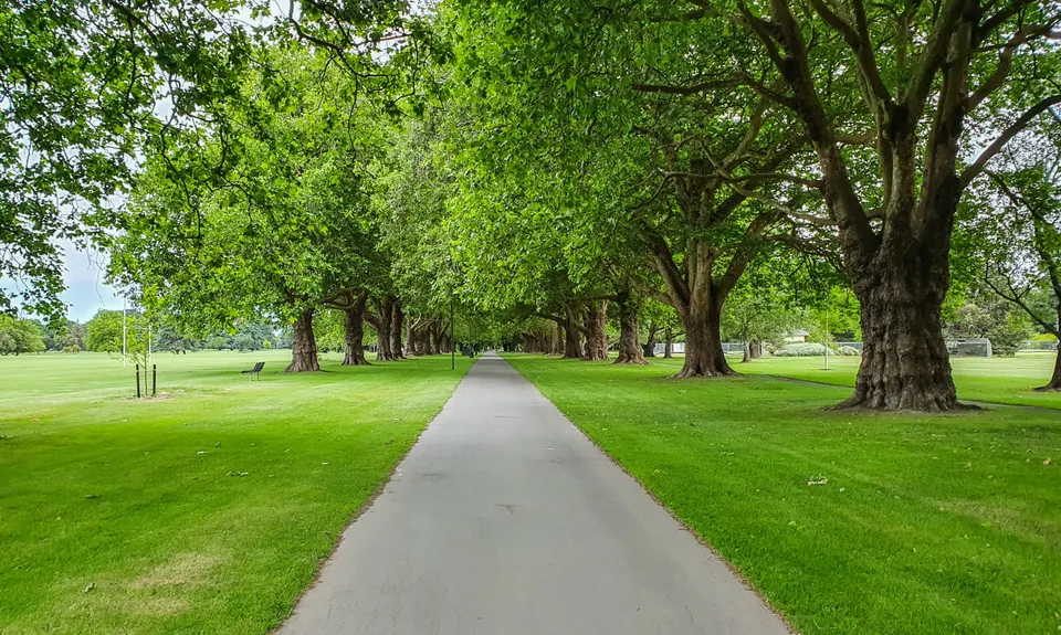 Hagley Figure of 8, Canterbury