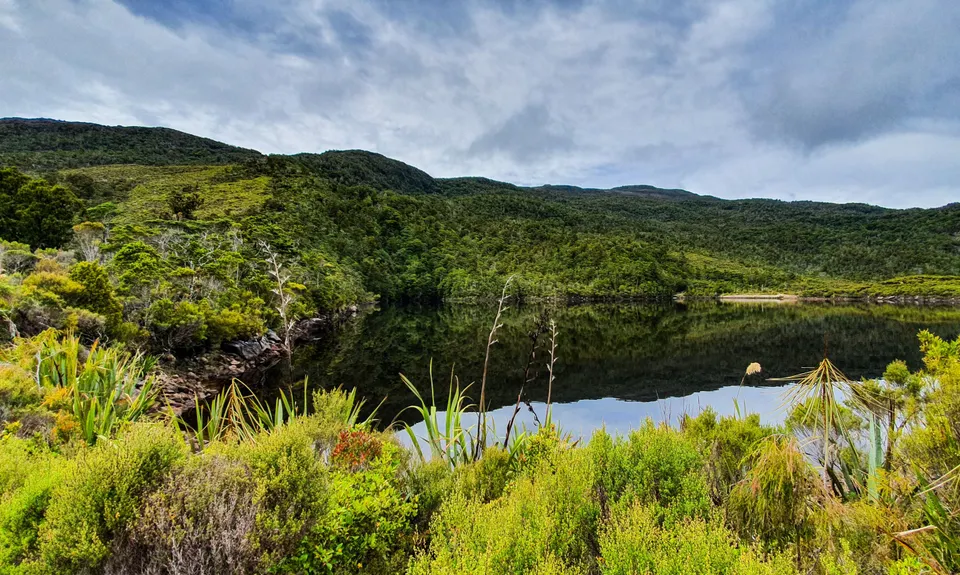 Lake Rochfort Ramble, West Coast