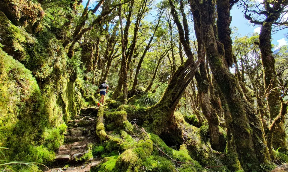 Routeburn: Divide to Conical Hill , Southland