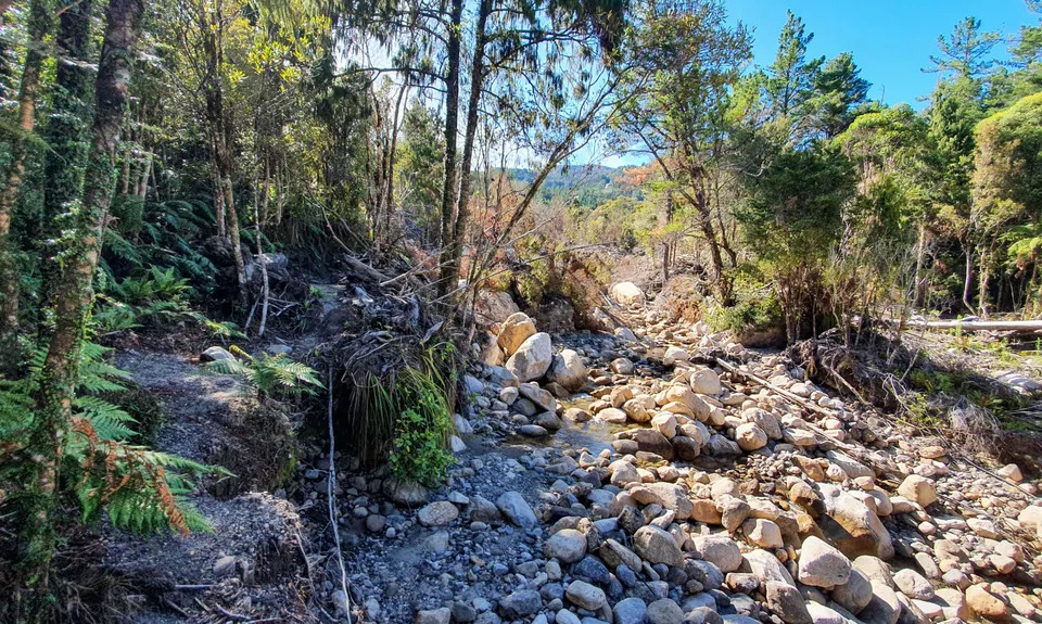 Lake Rochfort Ramble, West Coast