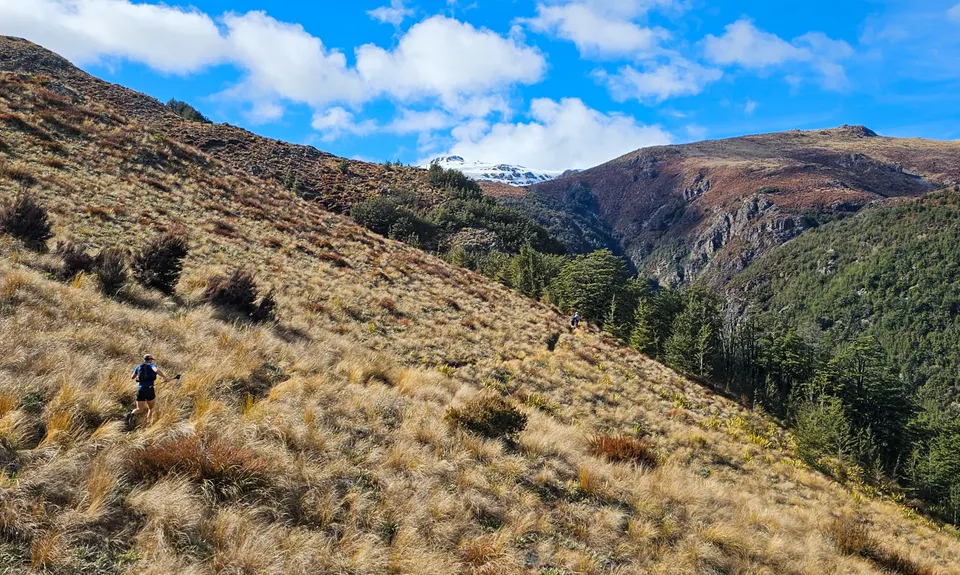 Mt Somers Woolshed Loop, Canterbury