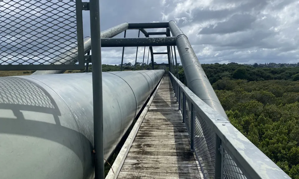 Puhinui - not just for Horses, Auckland
