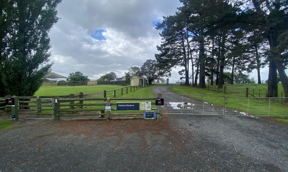 Puhinui - not just for Horses, Auckland