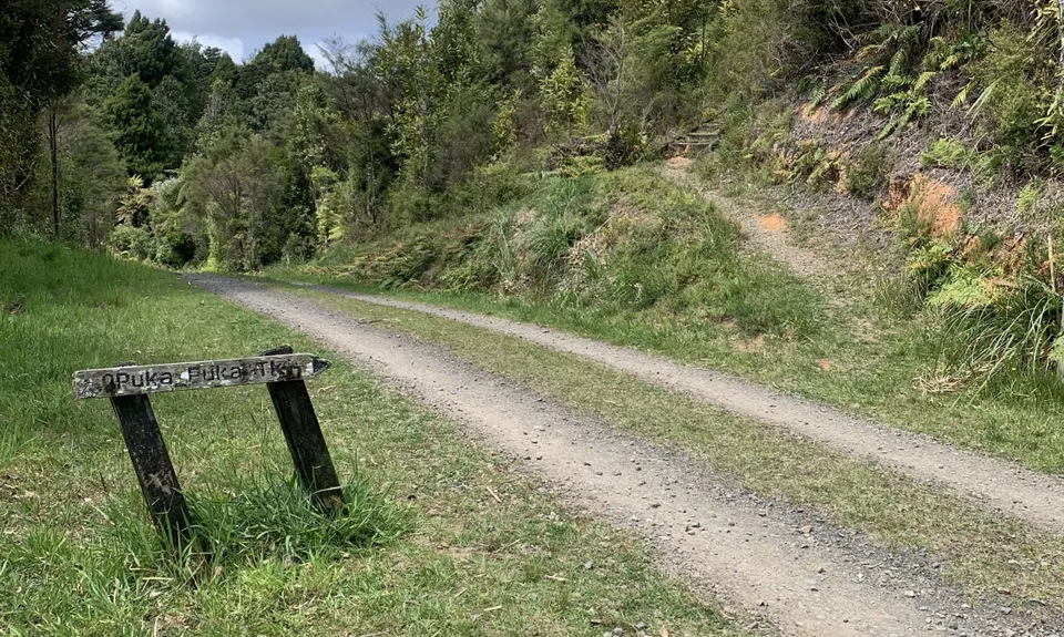 Pukapuka Track, Auckland